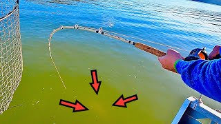 Catching MONSTER CATFISH at GUNTERSVILLE LAKE on the TENNESSEE RIVER !!!