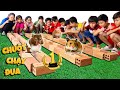 Tony | Cuộc Thi Đua Chuột - Hamster Race