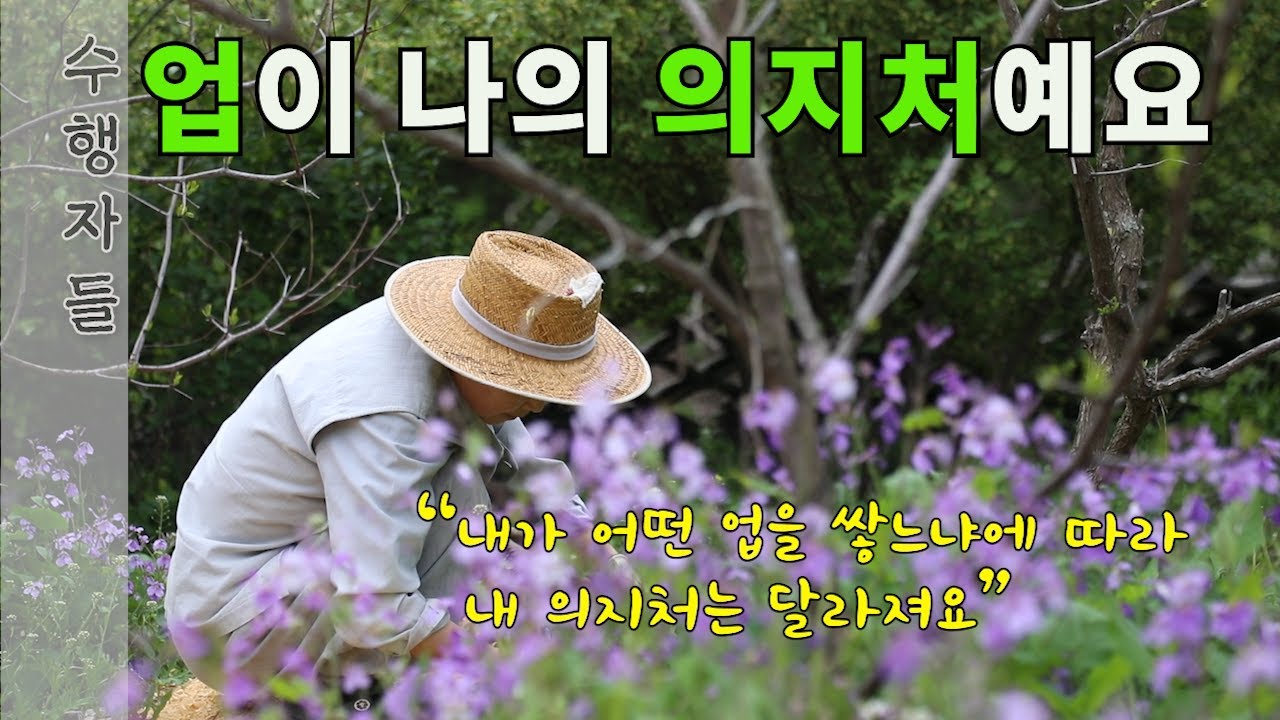 요리는 삶의 해독제_횡성 금수사_수행자들 7회_무관 스님 EP.02