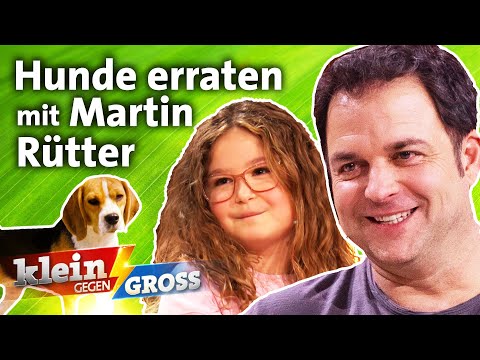 Video: Wie ein DogVacay Sitter den Service-Hund einer Frau verlor