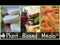 What I Eat In A Day #3 (PLANT BASED RECIPES)