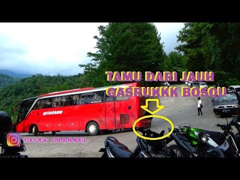 JANGAN ANGGAP ENTENG, BUS BANDUNG AJA GASRUK DISINI SITINJAU LAUIK