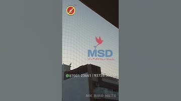 Best Anti-Bird Net Installers in Gurgaon | Protect Your Space with Quality Bird Nets"