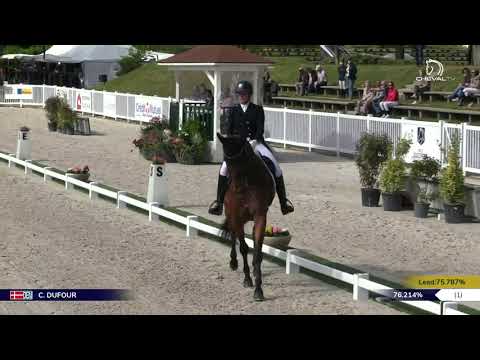 Vamos Amigos par VITALIS et Catherine Dufour - 1er GP Special CDI3* Compiègne