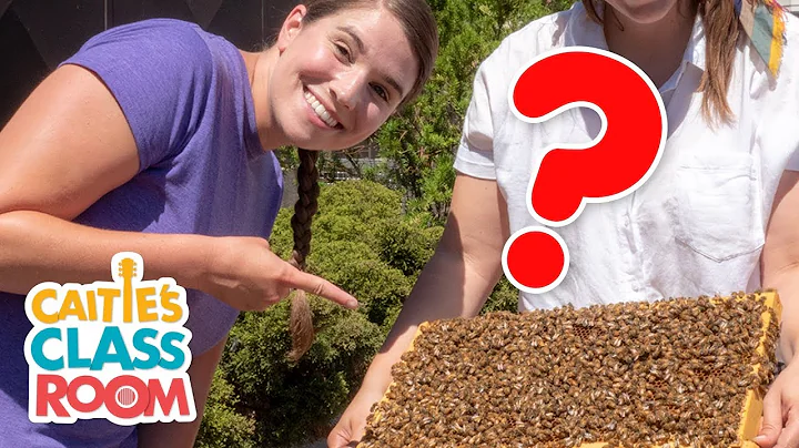 Visit An Urban Beehive & Make Honey | Caitie's Classroom Field Trip | Bees Video for Kids