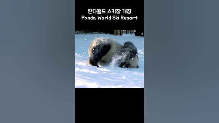 💖스키장에 간 원조장꾸 러바오 💕하얗게 눈이 내려와 하얀 함박눈이~❄️☃️ LeBao at a ski resort💖