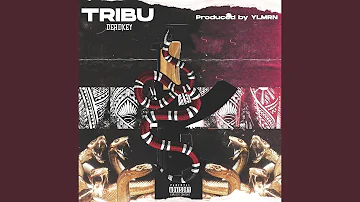 Tribu