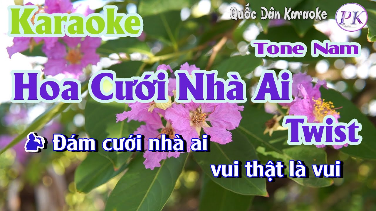 Karaoke Hoa Cưới Nhà Ai | Twist | Tone Nam (Dm,Tp:120) | Quốc Dân Karaoke