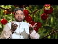 Lajpal Nabi Aaye Muhammad Shah Adnan Fareedi Best Naat 2015 Thar Production Lajpal Nabi Aaye Muhammad Shah Adnan Fareedi Best Naat 2015 Thar Production