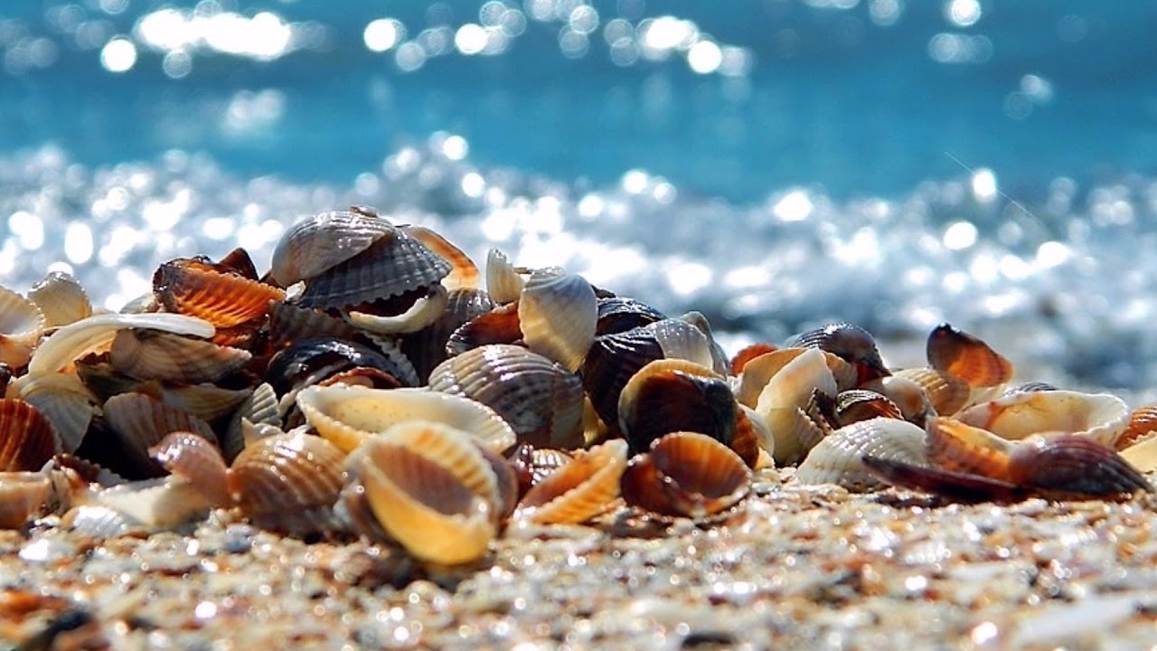 Touch the Sky  (Veigar Margeirsson)