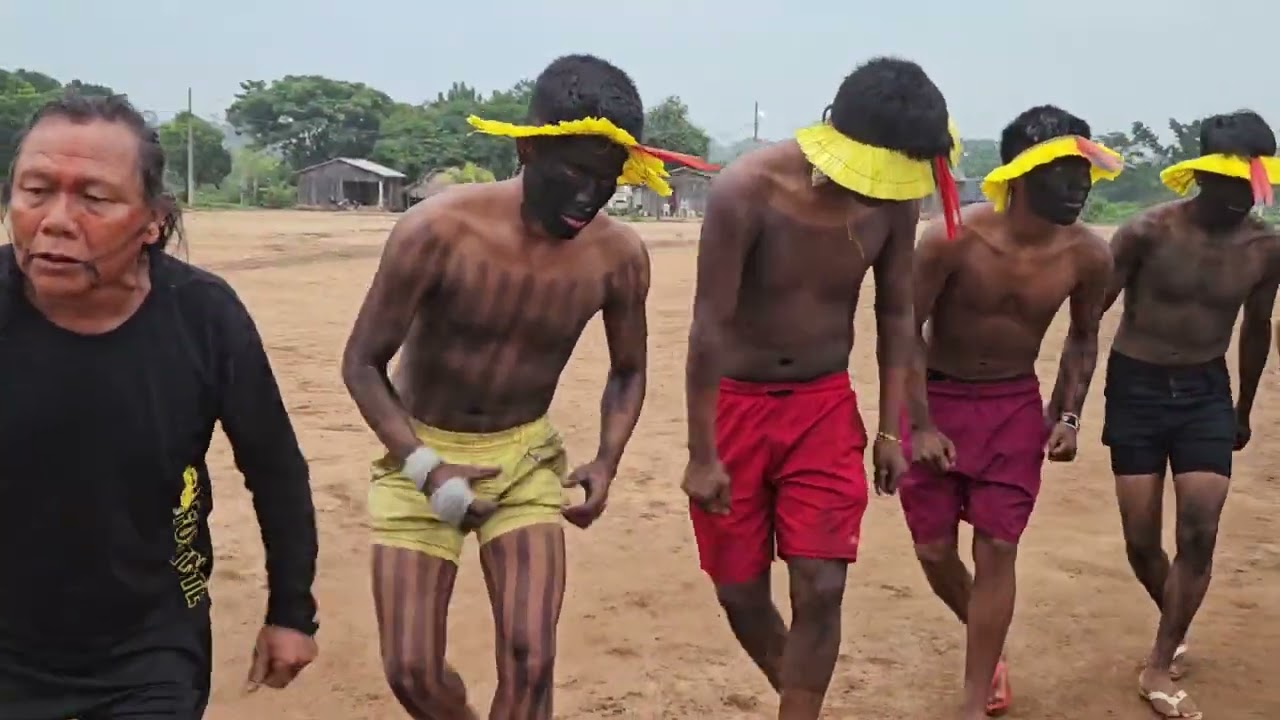 A festa indígenas de marimbondo _ jovens mebêngôkre kayapo tirando caixa de marimbondo_aldeia kriny