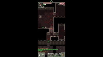 Rogue run (depth 20 to 26, part 2, final) | Shattered Pixel Dungeon