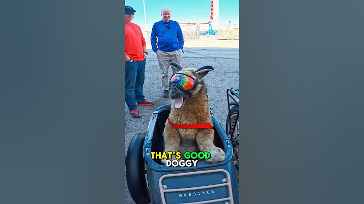 Pet-Friendly Electric Bike: Mod Bikes Sidecar for Your Dog! 🐶➡️ $100 Off with Code SHREDDIE