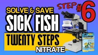Nitrates in Fish Tanks and Koi Ponds are TOXIC: Step 6 of 20