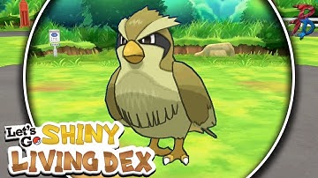 Shiny Pidgey in Pokemon Let