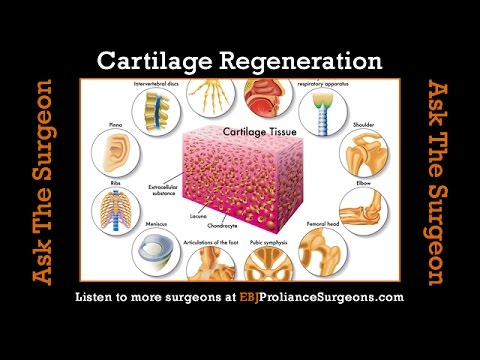 regeneration cartilage