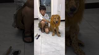 Boy Bathe His Dog #shortvideo