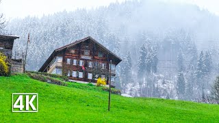 Rainy Day Walk In A Beautiful Swiss Village 🇨🇭 Le Sépey