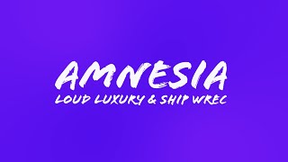 Amnesia Loud Luxury & Ship Wrek Lyric Video