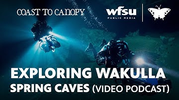 Diving into (and researching) the Wakulla Spring cave system | Coast to Canopy (video version)