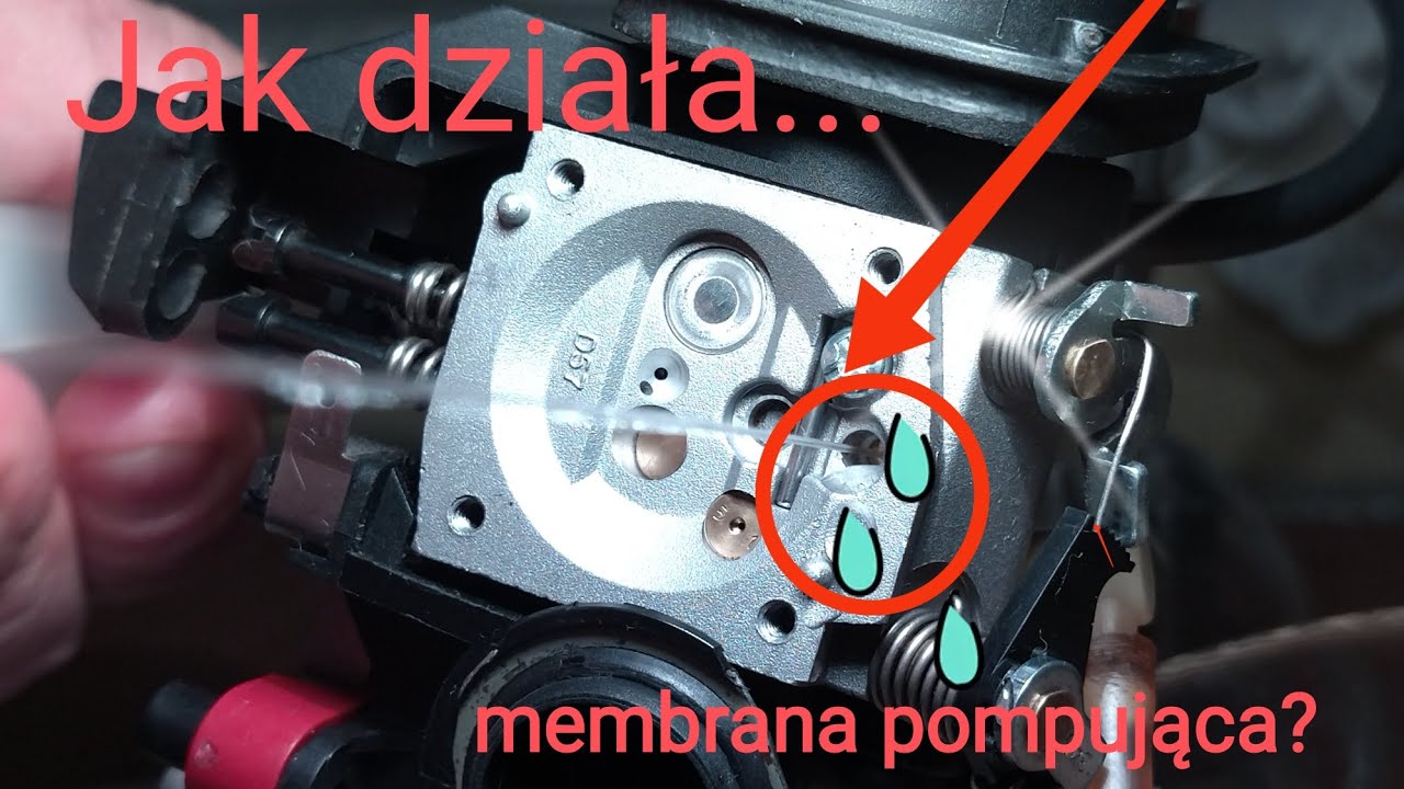 Jak Dzia a Membrana Pompuj ca Ga nika Membranowego 2T Pilarki Kosy jak-dzia-a-membrana-pompuj-ca-ga-nika-membranowego-2t-pilarki-kosy