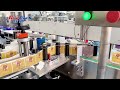 Rotary PET flat wine bottle unscrambler washing filling capping labeling machine line Nigeria client