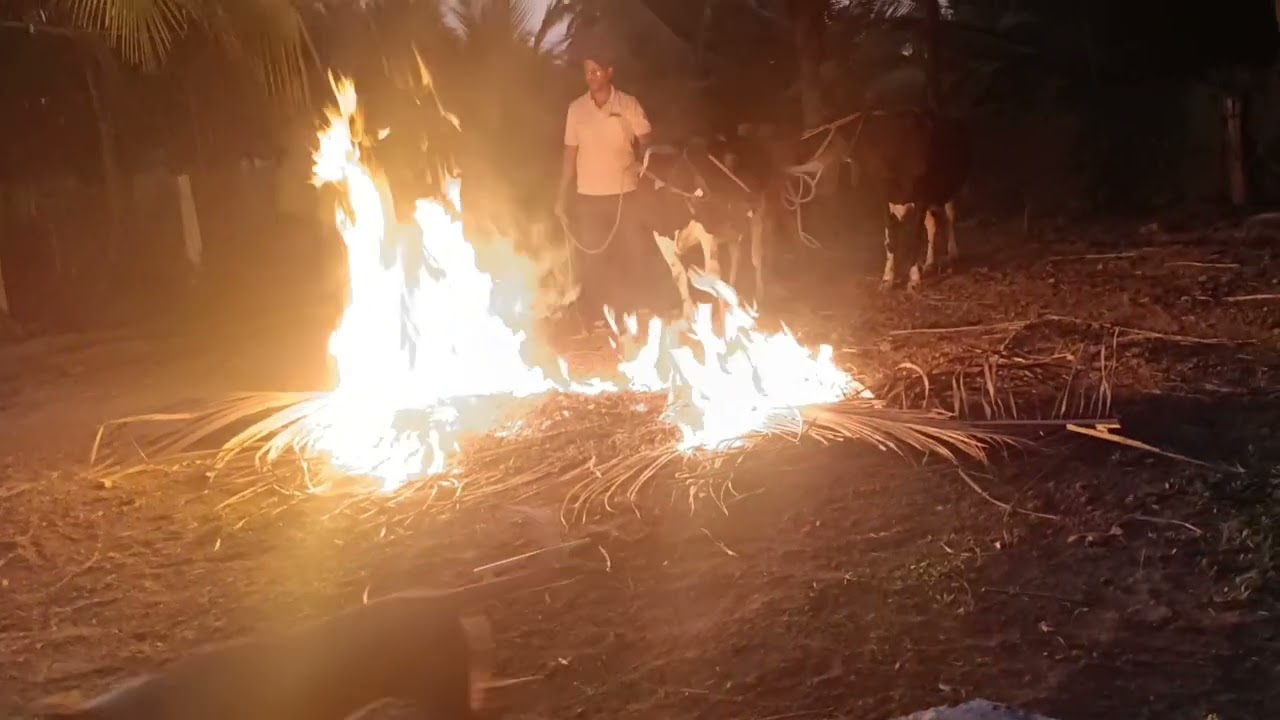  ಸಂಕ್ರಾಂತಿ ಹಬ್ಬದ ಶುಭಾಶಯಗಳು 