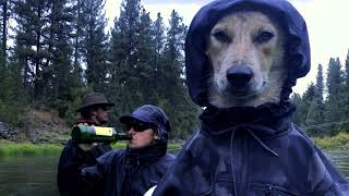 Dog On A Boat - Doomer Slop Music