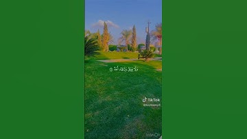تلاوة خاشعه #اكسبلور #المصحف #تيك_توك #الرحمن #لايك #القزابري #ترند #الطحان #راحة_نفسية #الديحاني