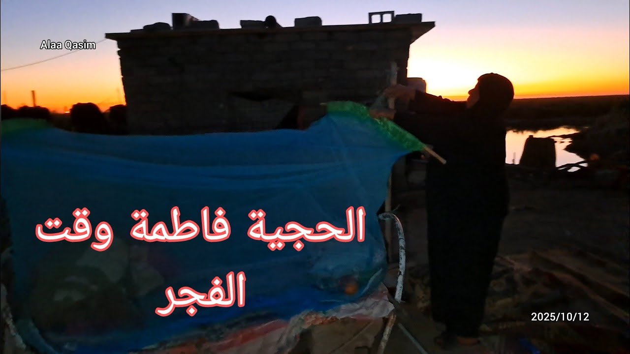 مع الاسف عبالنه جاموسه الحجية رجعت 😥و سوالف ابو حيدر والصبح يم الحجية فاطمة. 