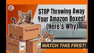 Why Cats Are Obsessed With Boxes? (The Science is Fascinating) Wealth
