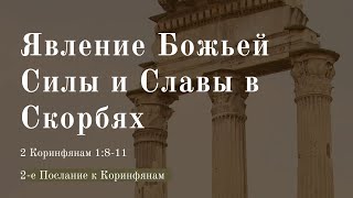 "Явление Божьей силы и славы в скорбях" | Владимир Мицук