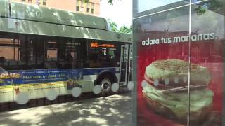 MTA NYCT Q66 City Bus - June 2, 2013
