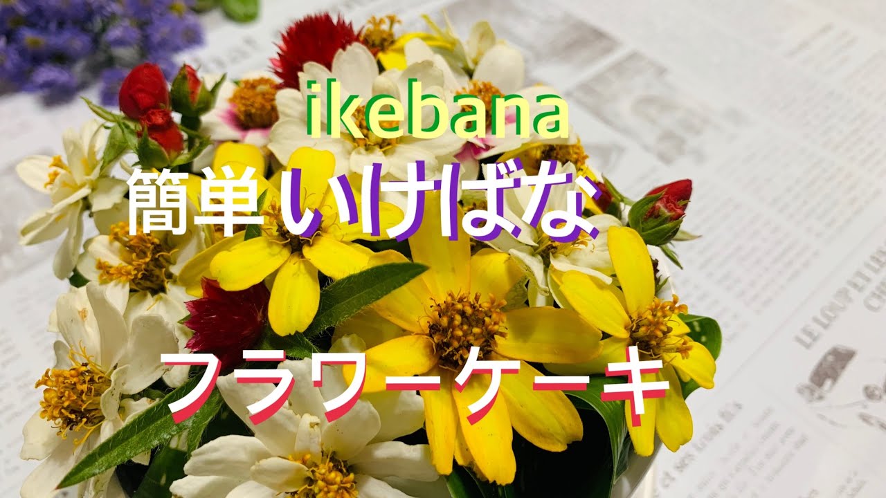 旭山桜 盆栽鉢植え 通販 送料無料 育て方 安全梱包 電話注文
