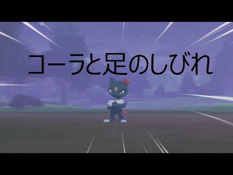 ソードシールド 巨人の鏡池 きょじんのかがみいけ のマップ 出現する野生のポケモン アイテムまとめ ポケモン剣盾 攻略大百科