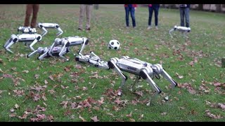 Testing 9 New Mini Cheetahs.MIT's Mini Cheetah robots play a mean game of soccer