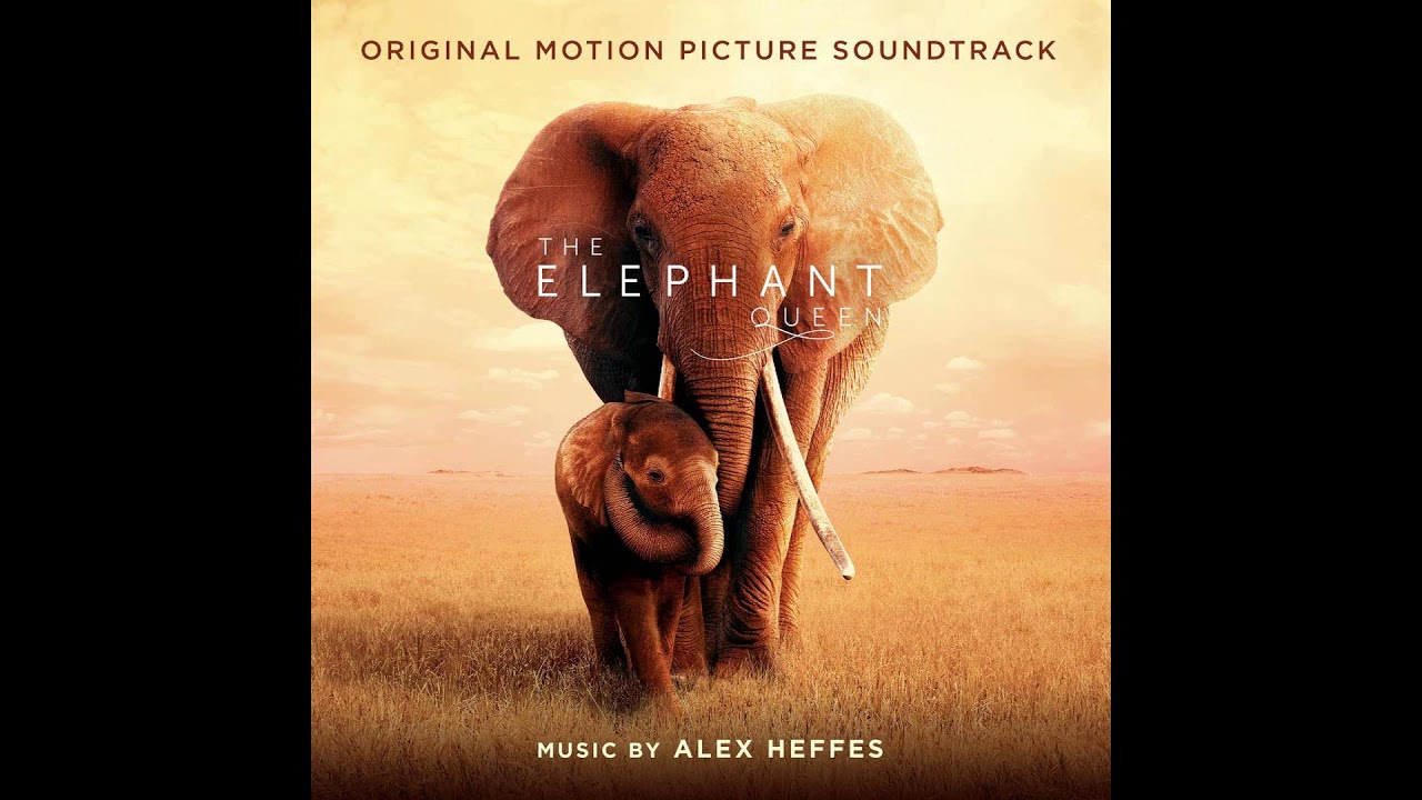 Stephen's Adventures The Elephant Queen OST YouTube