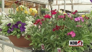 Last freeze of spring could threaten gardens