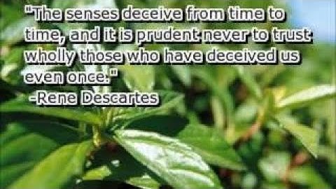 René Descartes Part 4