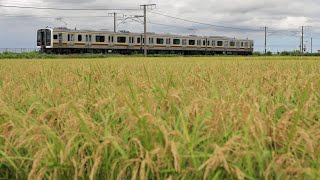 2021.9 信越本線6424M E131系600代 ヤマTN5編成 公式試運転