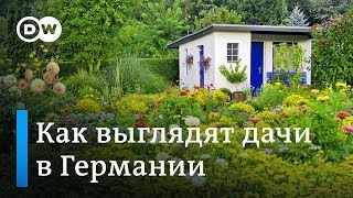 видео Участок, Дачные вопросы