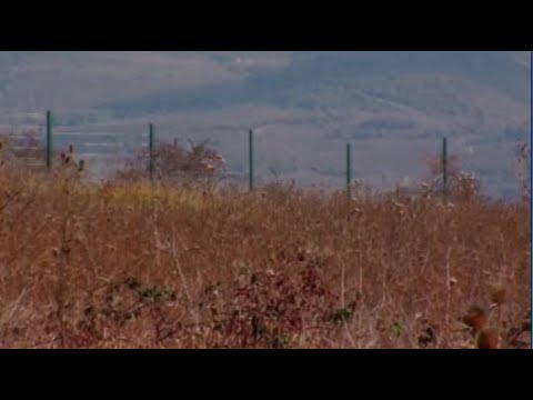 „მავთულხლართების კედლები  აუცილებლად დაიშლება“ - რა ხდება საოკუპაციო ხაზთან