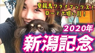 【4週連続的中！】2020年 新潟記念の予想【相性抜群あのローテ！】