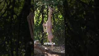 The Gerenuk – The Standing Antelope #shorts #animals #wildlife
