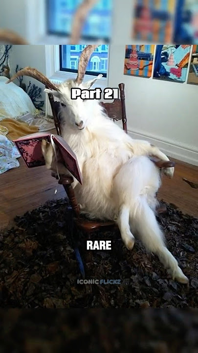 Rare Photos You've Never Seen Before [Part 216]