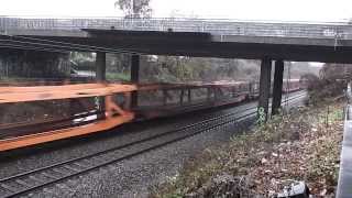 BLS, CAPTRAIN e...Treni Merci Nel Sud Della Germania! (Freiburg Hbf)