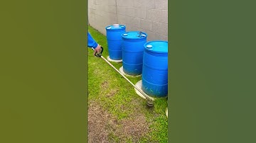 Weed whacking, little edge work on the side of a home 🏠 #gardening #weedwacker