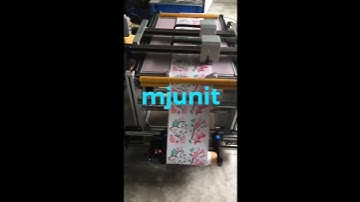 mjunit xy axis gantry synchronous belt linear module high speed mute belt driven reciprocating