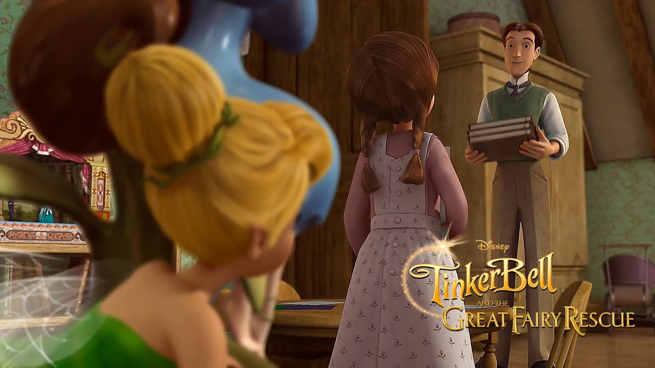 TinkerBell And The Great Fairy Rescue: My old field journals