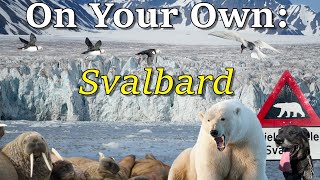 How to Visit Svalbard On Your Own